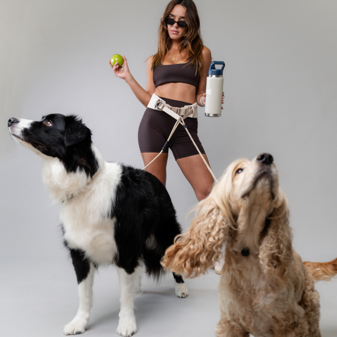 The Attachdᵀᴹ Hands-Free Dog Belt