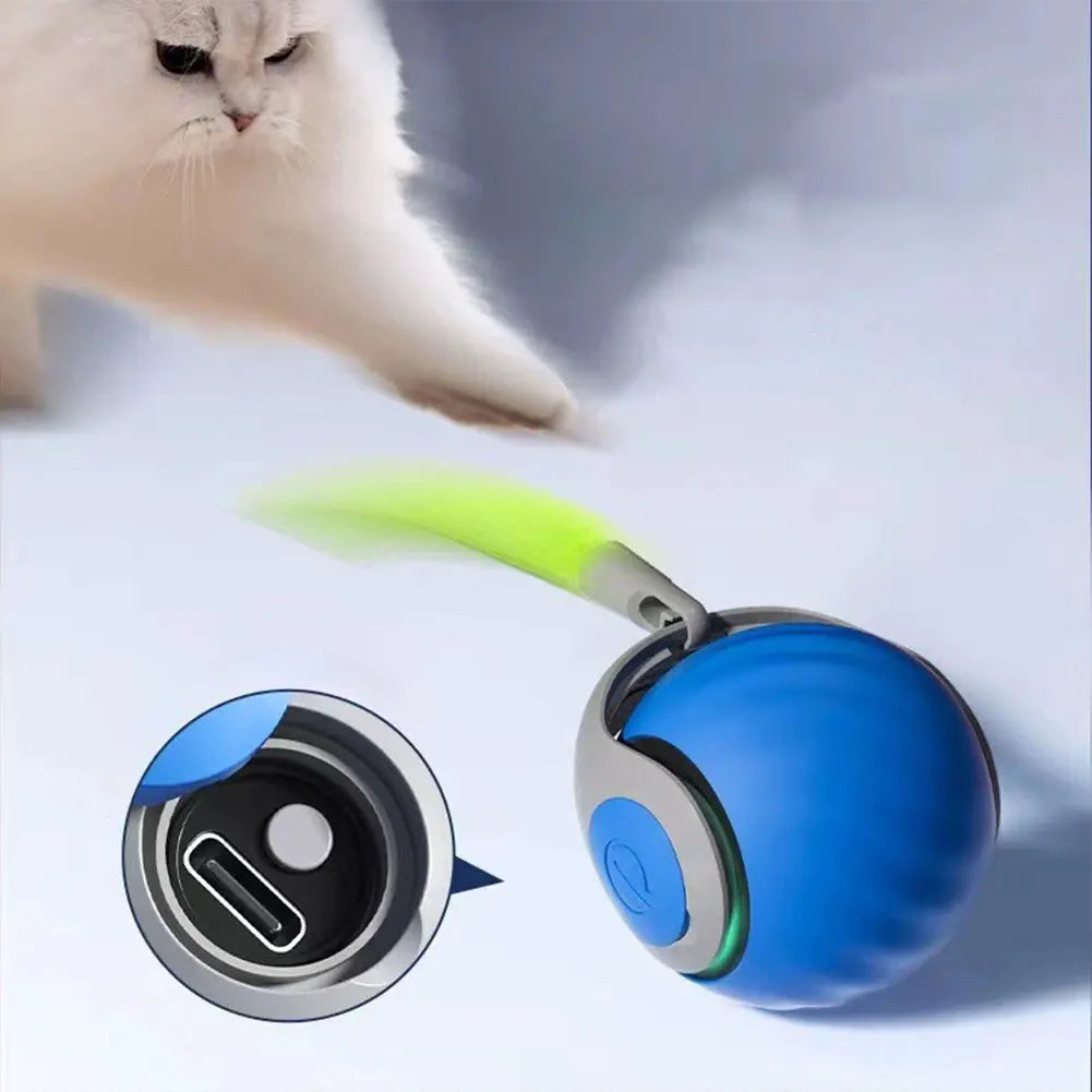 MeowSpin™
