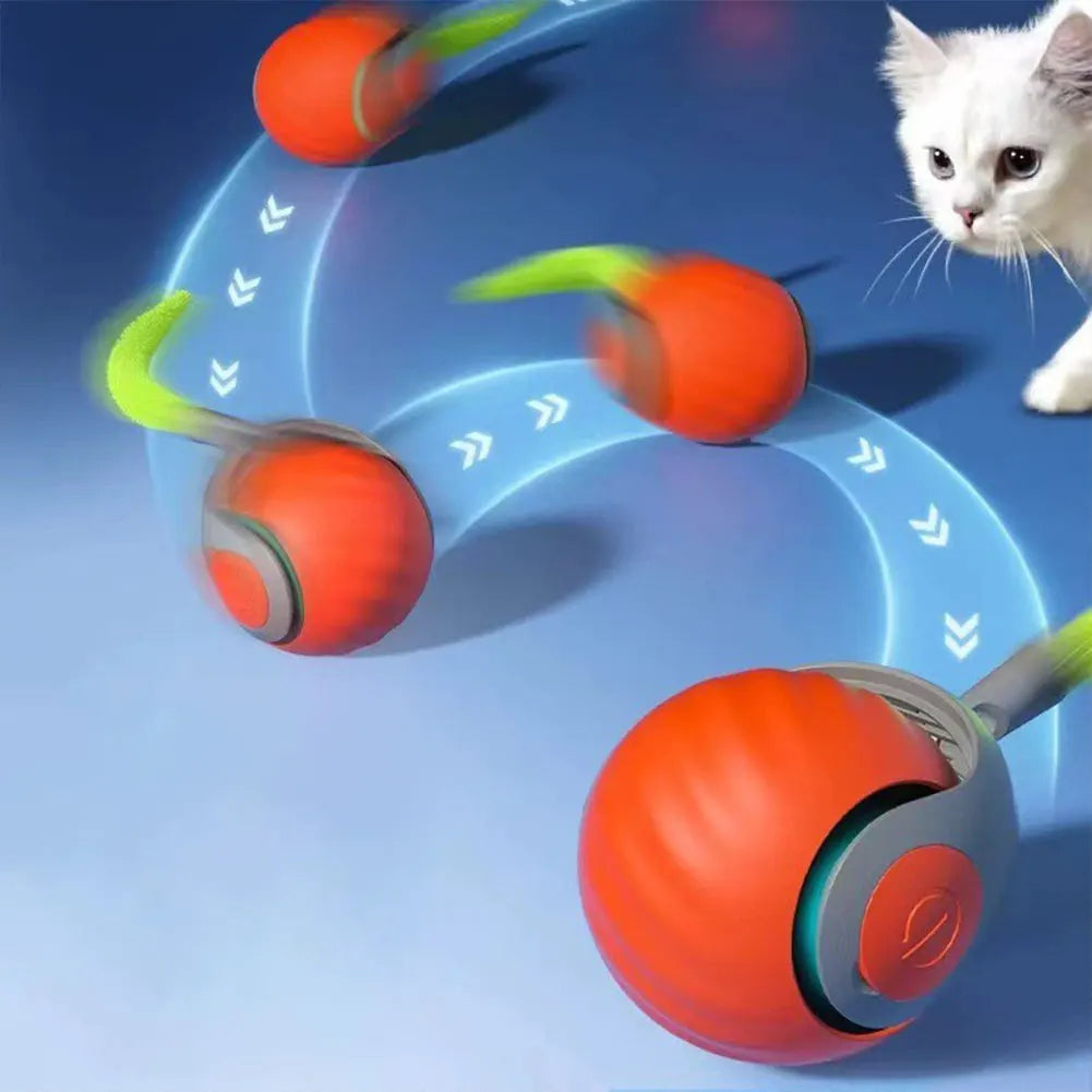 MeowSpin™